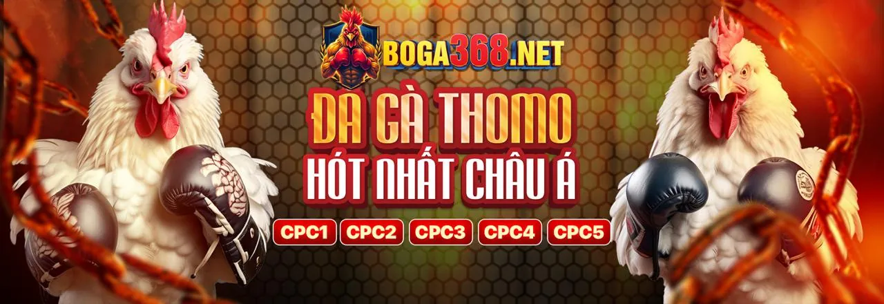 Tham gia 188bet 250 bet ngay